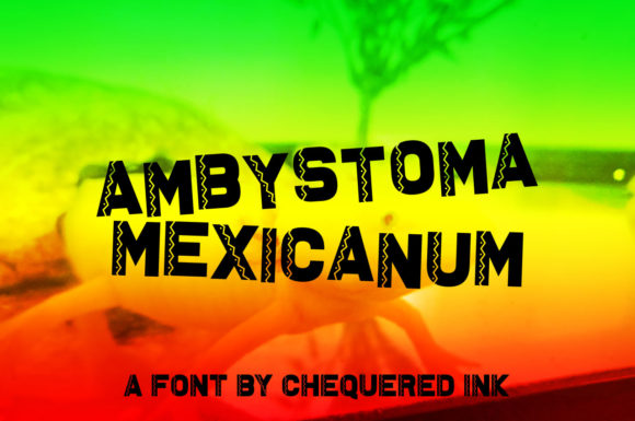 Ambystoma Mexicanum: A Bold Mexican-Style Display Font