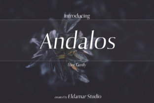 Andolas: A Handmade Display Font That Feels Timeless